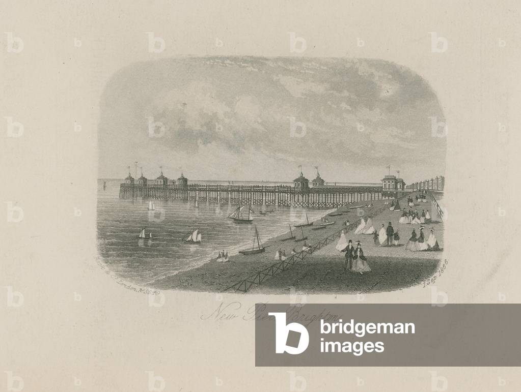 General view of the new pier in Brighton (engraving)