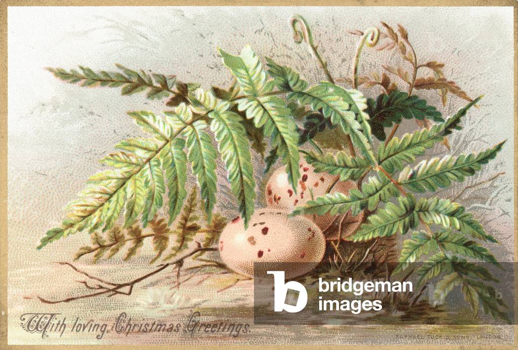 Birds Eggs, Christmas Card (chromolitho)