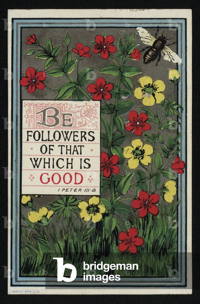 Flowers with a Bible verse from 1 Peter 3:13, greetings card. (chromolitho)