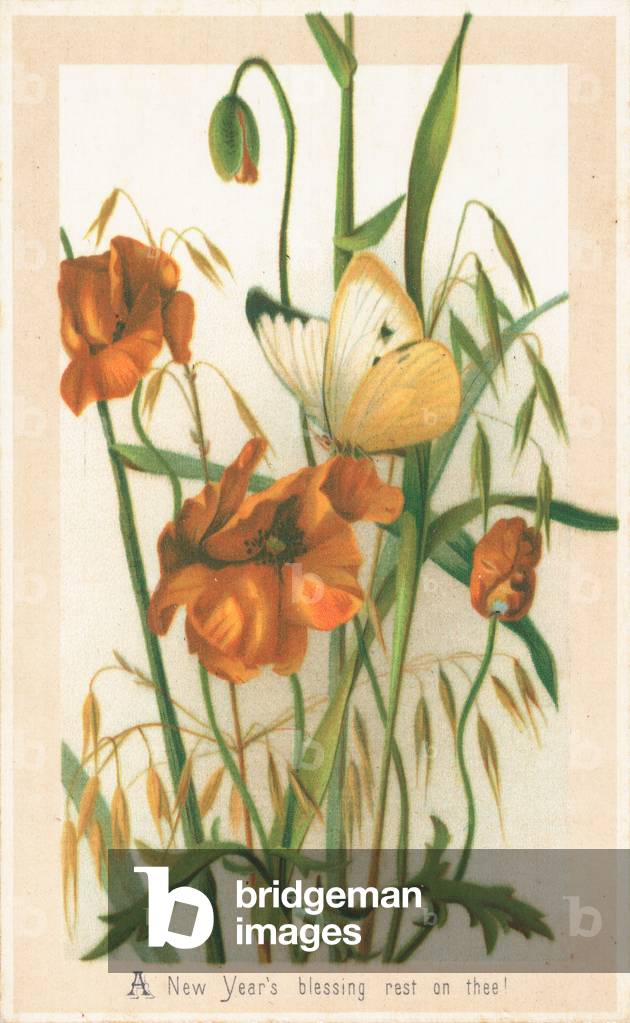 Poppies and Butterfly, New Year Card (chromolitho)