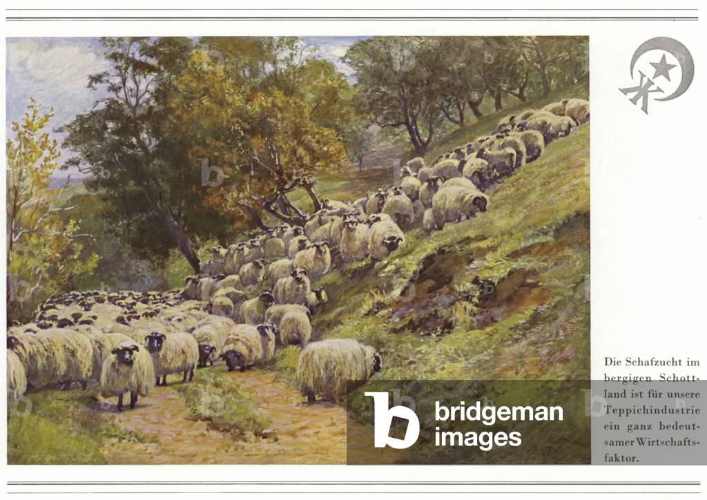 Business of carpet manufacturers Halbmond-Teppichfabrik Von Koch Und Te Kock (colour litho)