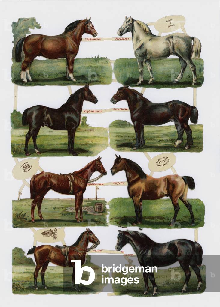 Victorian scraps (chromolitho)