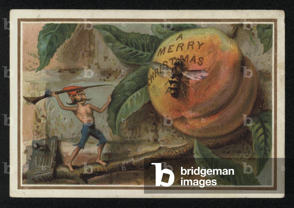 Elf defending his fruit from a wasp, Christmas greetings card. (chromolitho)
