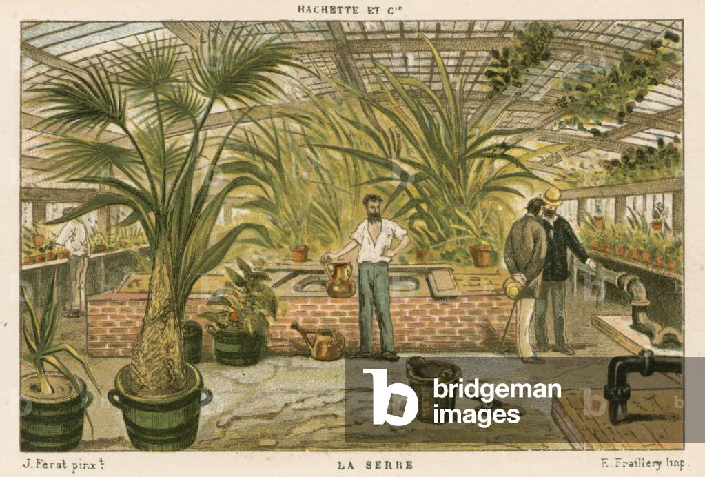 Greenhouse (colour litho)