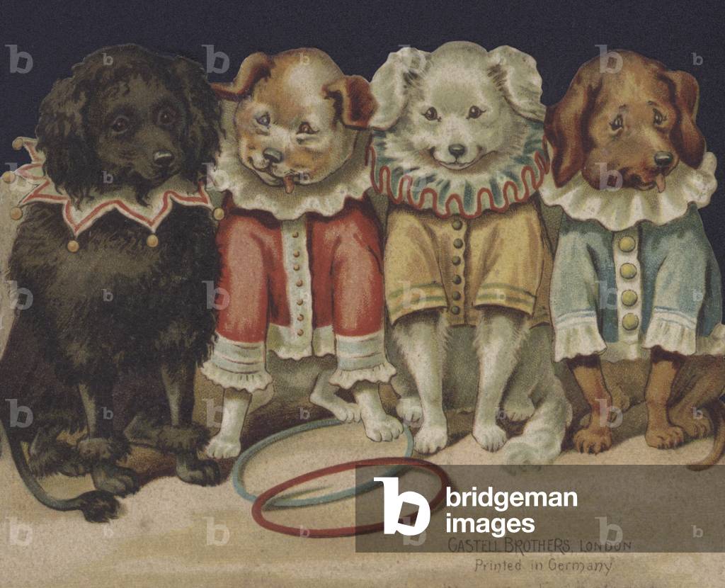 Comic dogs (colour litho)