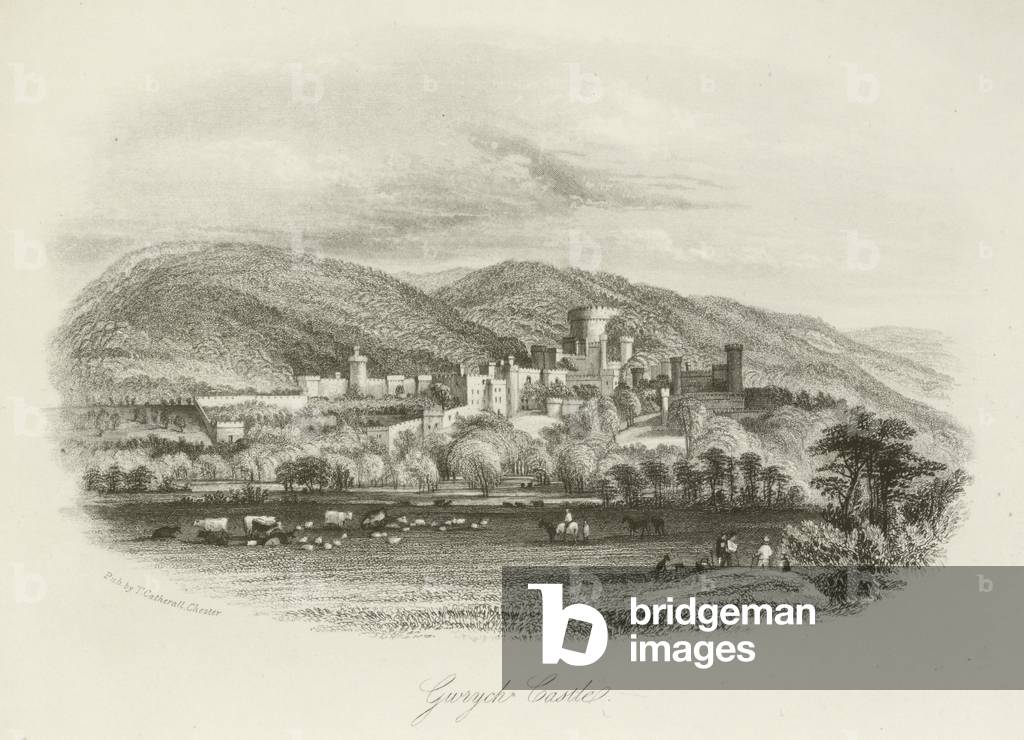 Gwrych Castle, Abergele, North Wales (engraving)