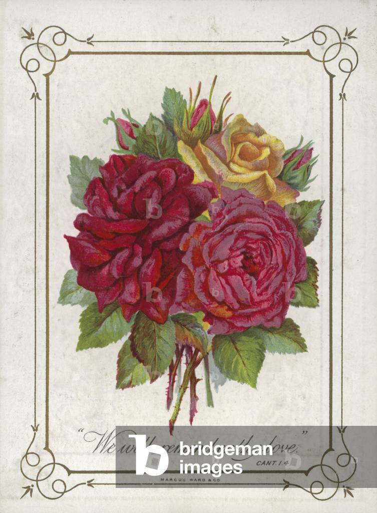 Posy of flowers (chromolitho)