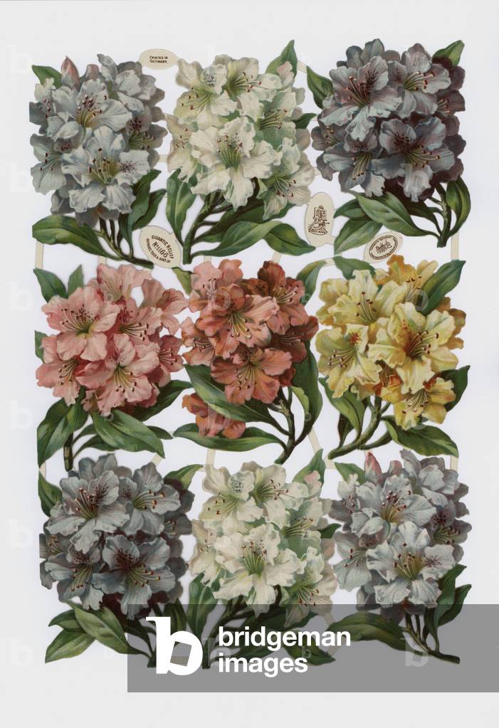 Victorian scraps (chromolitho)