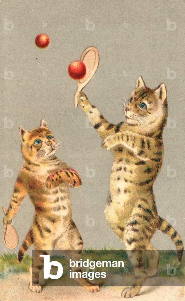 Two cats playing with rackets and ball (chromolitho)