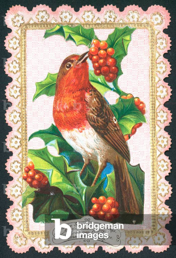 Robin eating berries, Christmas Card (chromolitho)