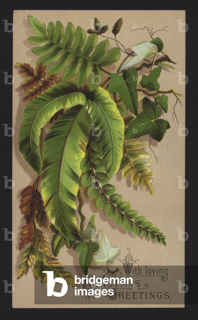 Plant leaves, Christmas greetings card, late 19th or early 20th Century (chromolitho)