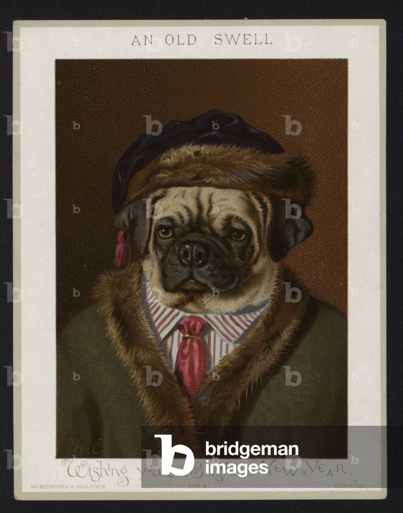 An Old Swell, Anthropomorphic dog, New Years Greeting Card (chromolitho)
