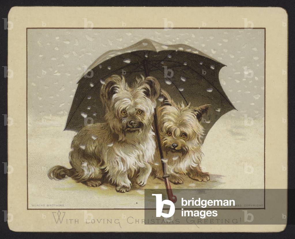 Two dogs sheltering from the snow beneath an umbrella (chromolitho)
