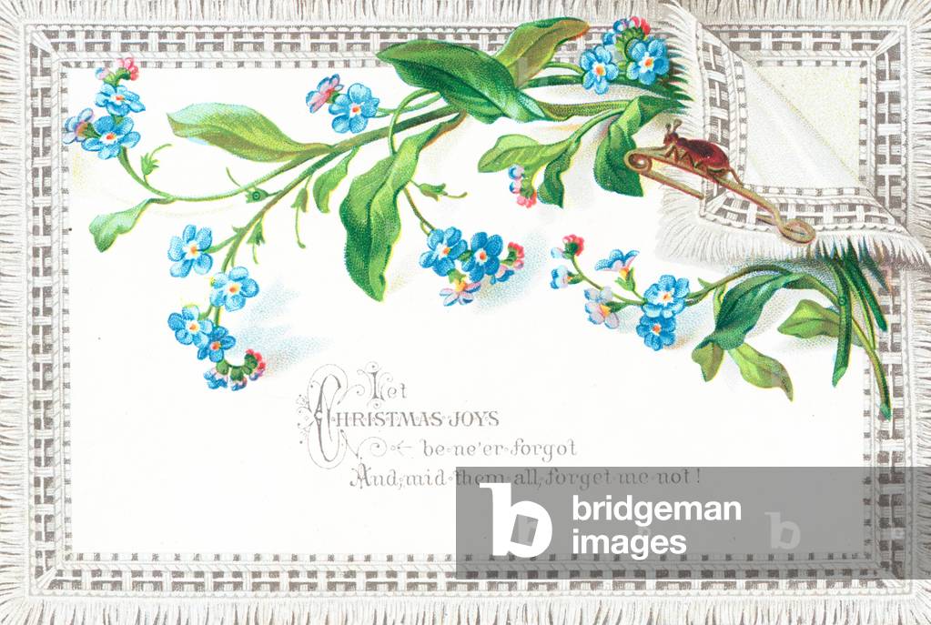 Forget-Me-Not Flowers, Christmas Card (chromolitho)