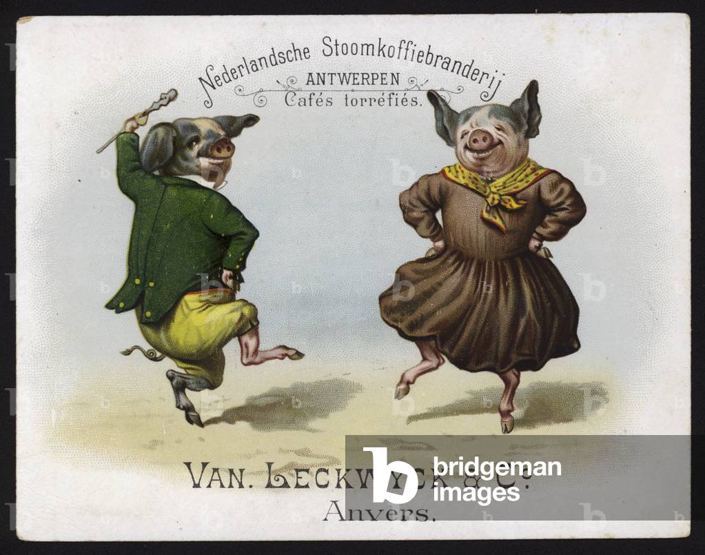 Dancing pigs wearing Irish costume (chromolitho)