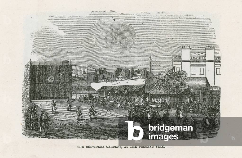 The Belvidere Gardens (engraving)
