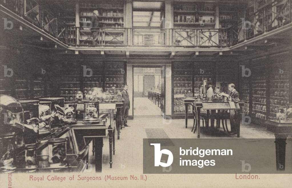 Royal College of Surgeons Museum, London (b/w photo)