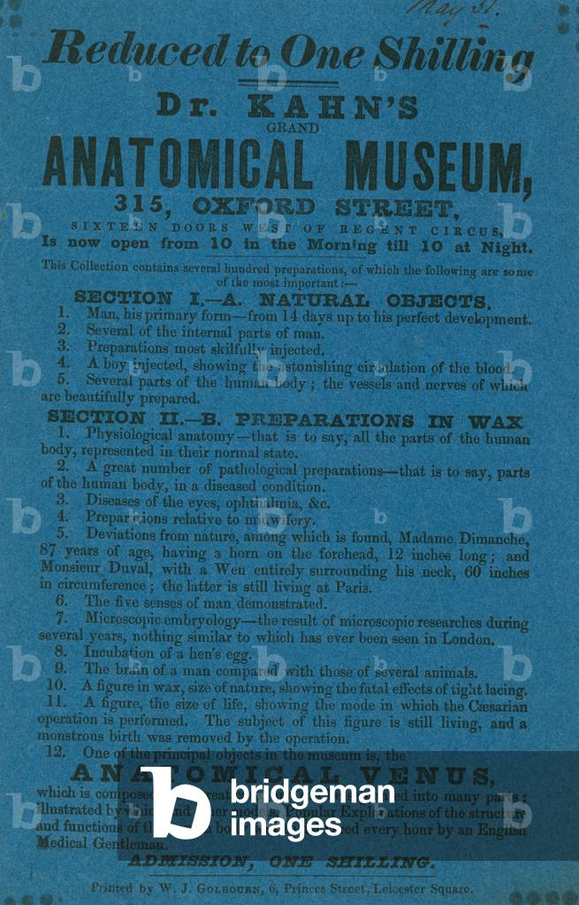 Advert for Dr Khan's Grant Anatomical Museum (engraving)