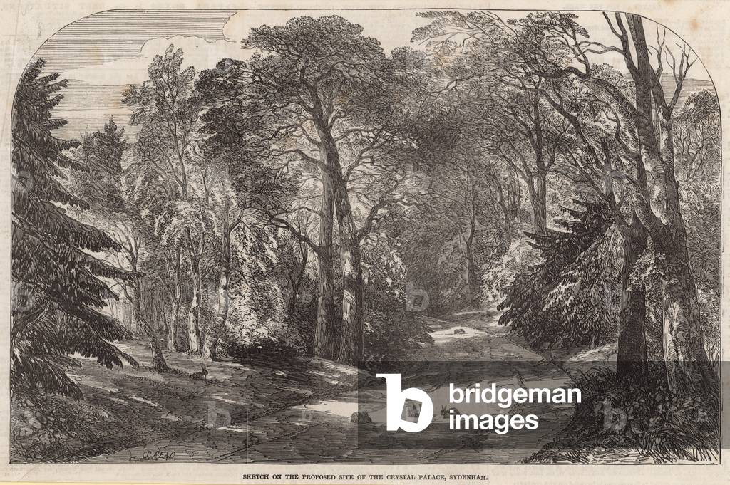 Sketch of the proposed site of the Crystal Palace, Sydenham (engraving)