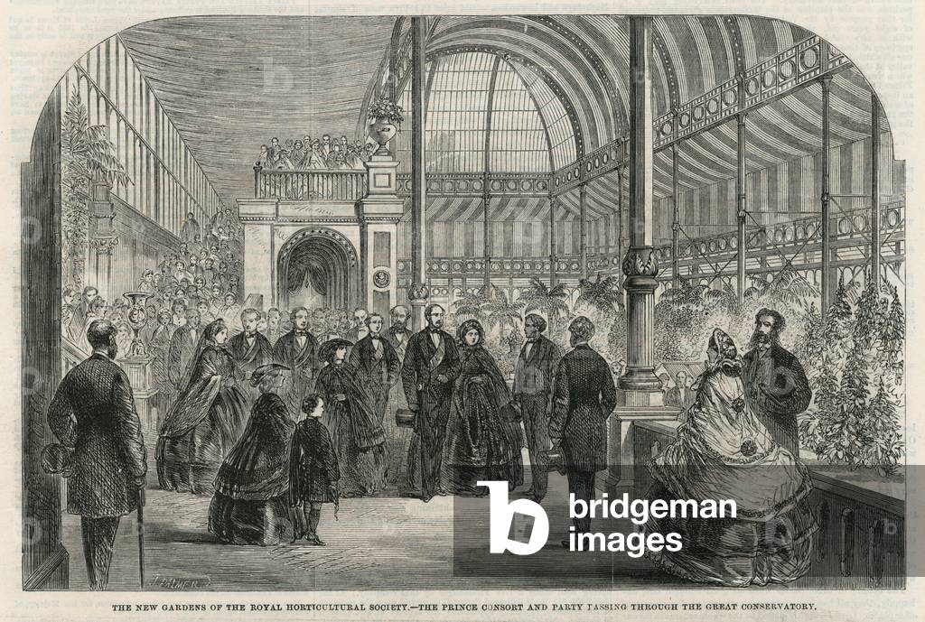 The new gardens of the Royal Horticultural Society: The Prince Consort and party passing through the great conservatory (engraving)
