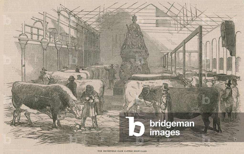 The Smithfield Club Cattle Show Yard (engraving)