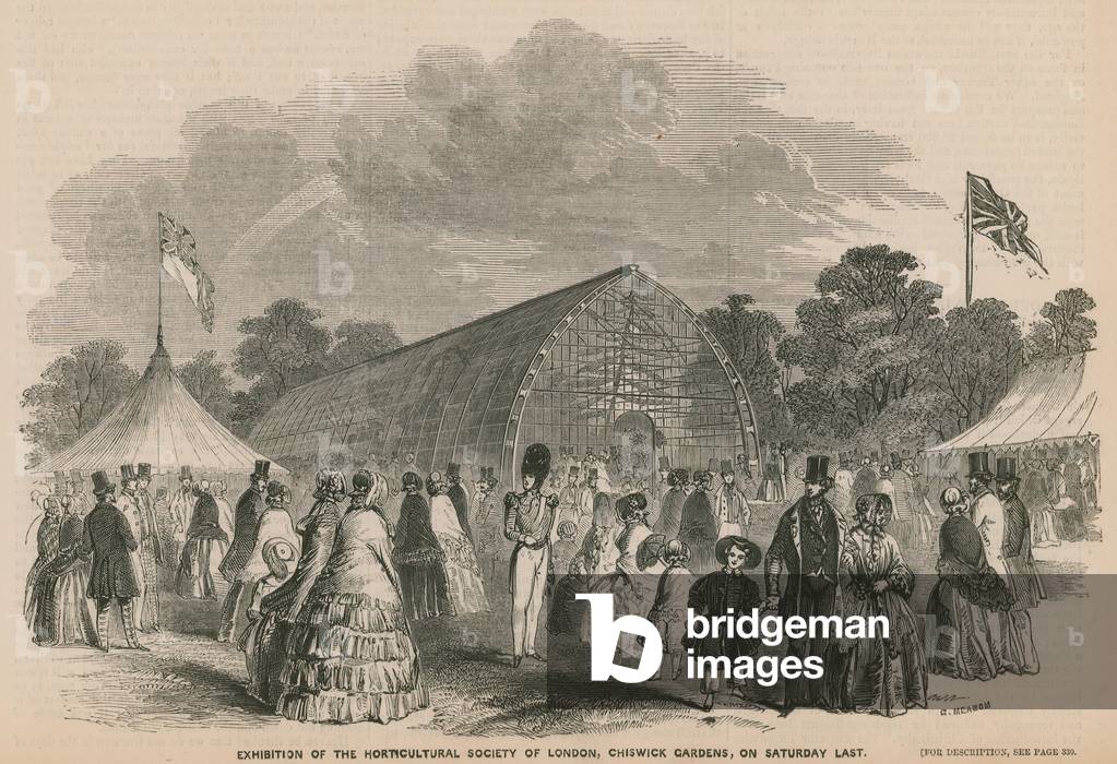 Exhibition of the Horticultural Society of London, Chiswick Gardens (engraving)