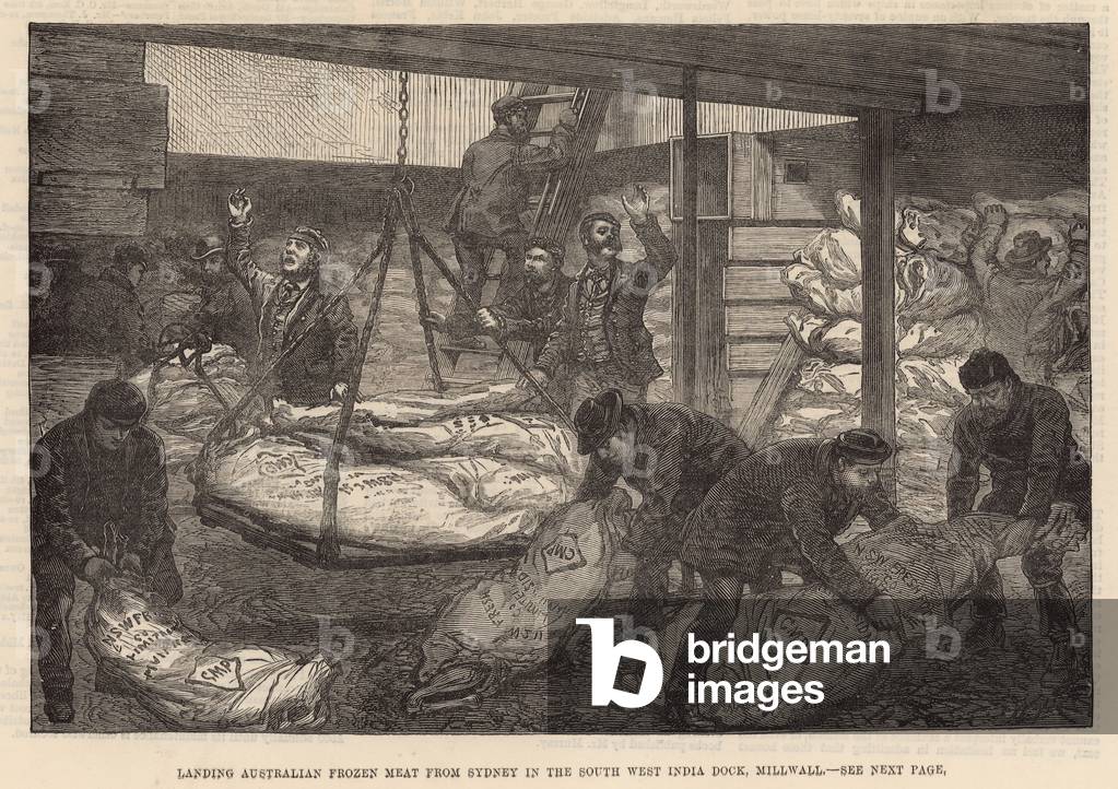 Landing Australian frozen meat in the South West India Dock, Millwall (engraving)