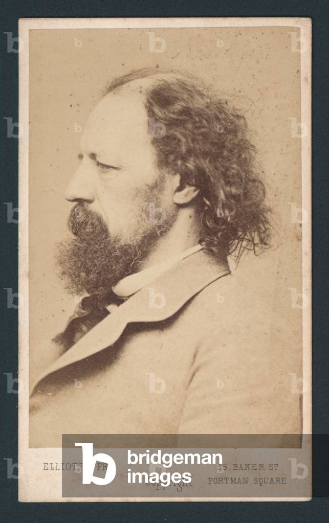 Lord Tennyson, carte de visite (photo)