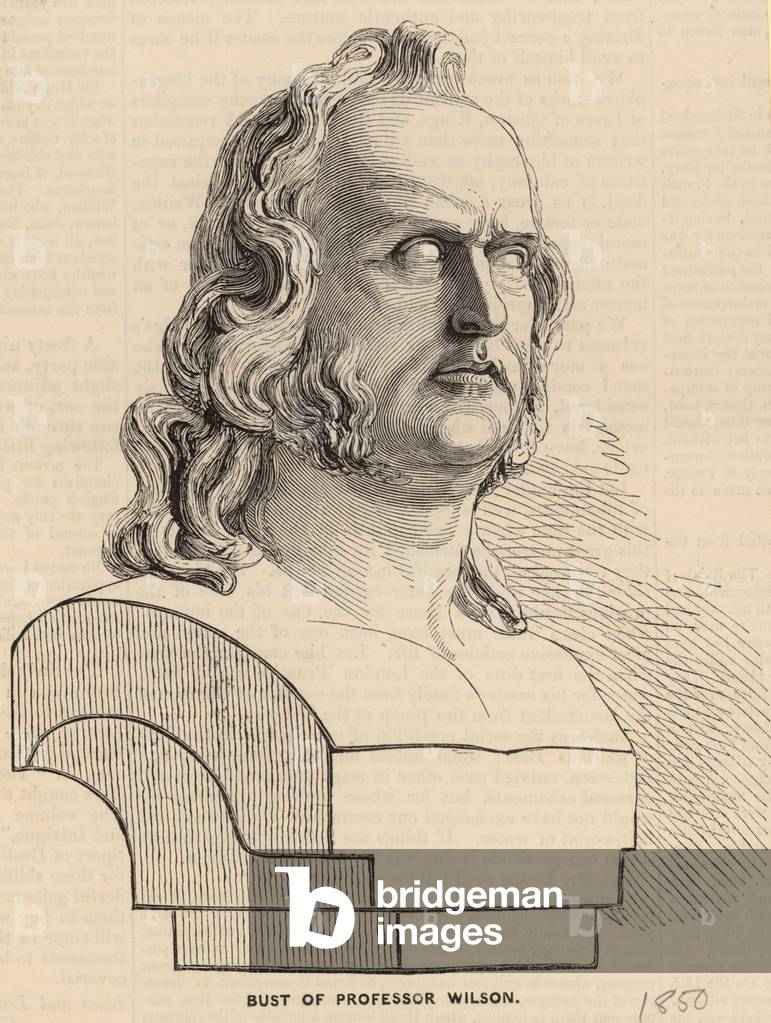 Bust of Professor Wilson (engraving)