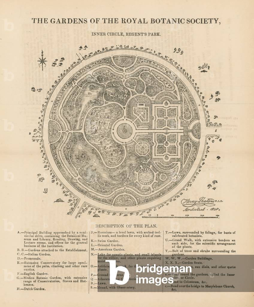 Plan view of the gardens of the Royal Botanic Society (engraving)