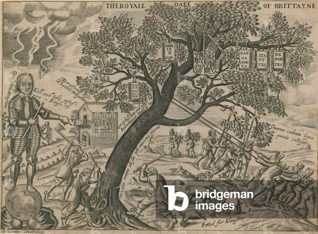 The royal oak of Britain (engraving)