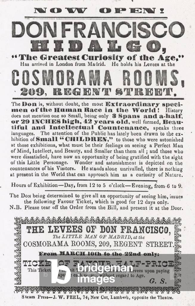 Advert for an appearance of Don Francisco Hidalgo (engraving)