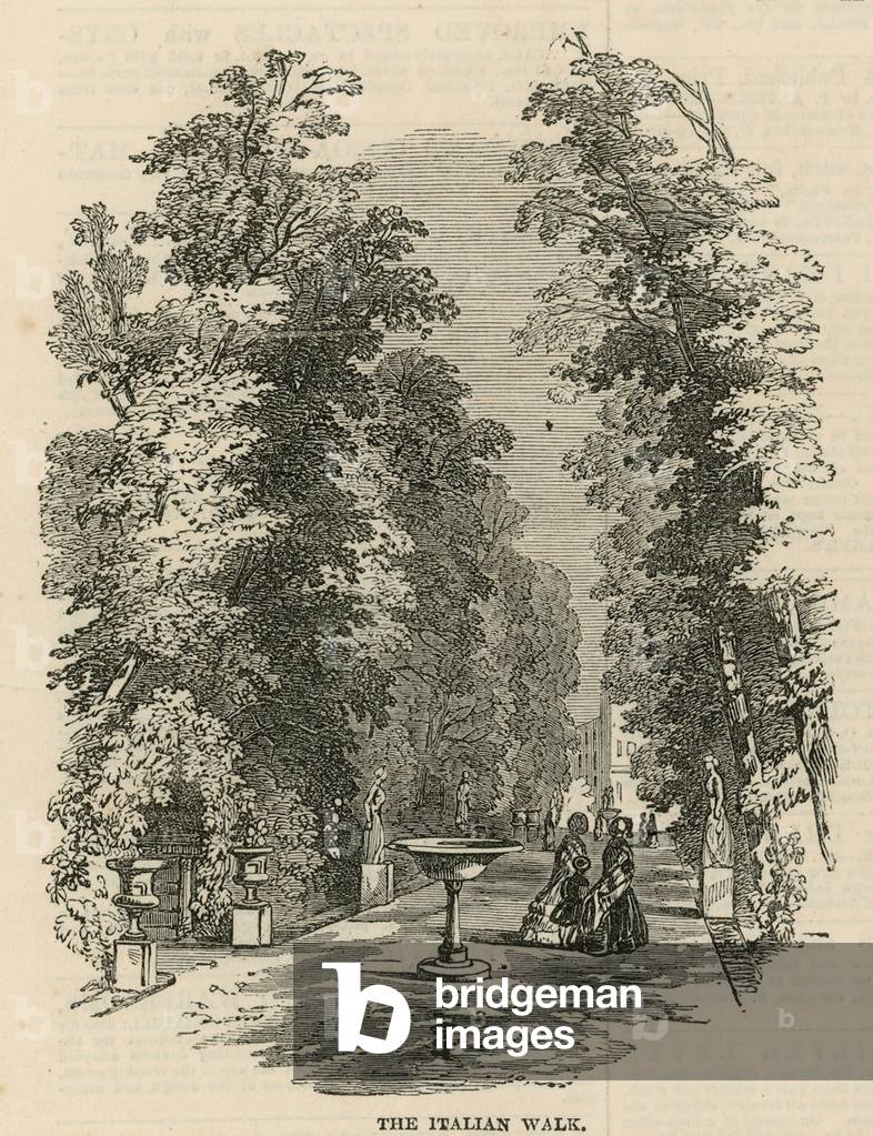 The Italian Walk in Vauxhall Gardens (engraving)