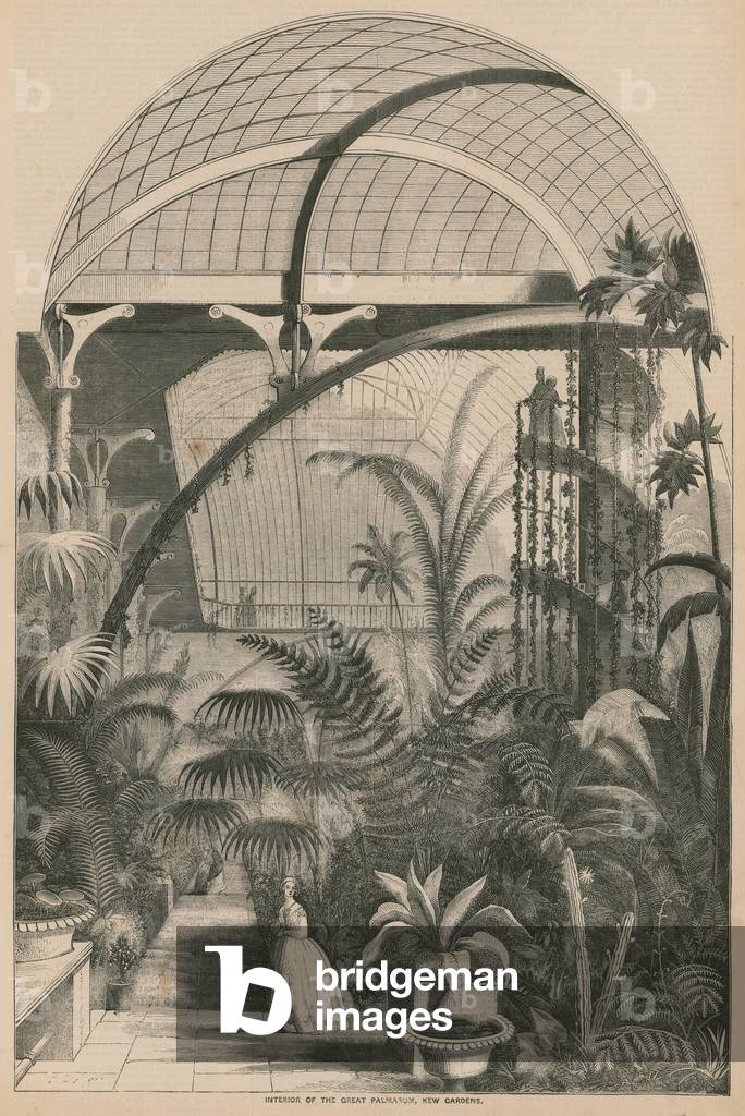 Interior of the Great Palmarum, Kew Gardens, London (engraving)