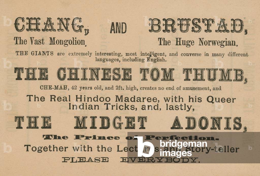 Advert for appearances by Chang, Brustad, The Chinese Tom Thumb and The Midget Adonis (engraving)