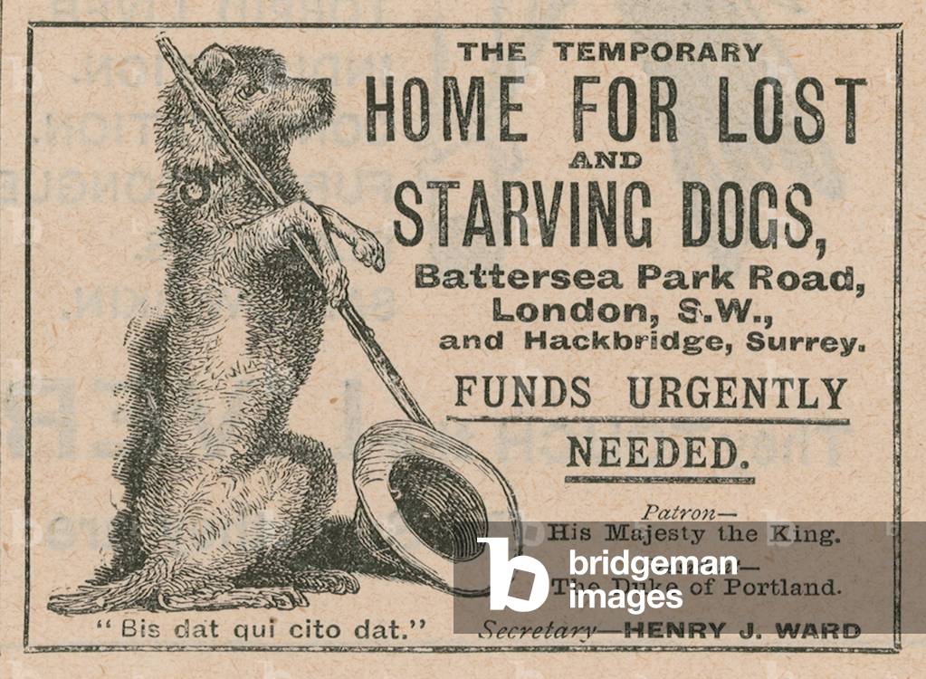 Advertisement for Battersea Dogs Home (engraving)