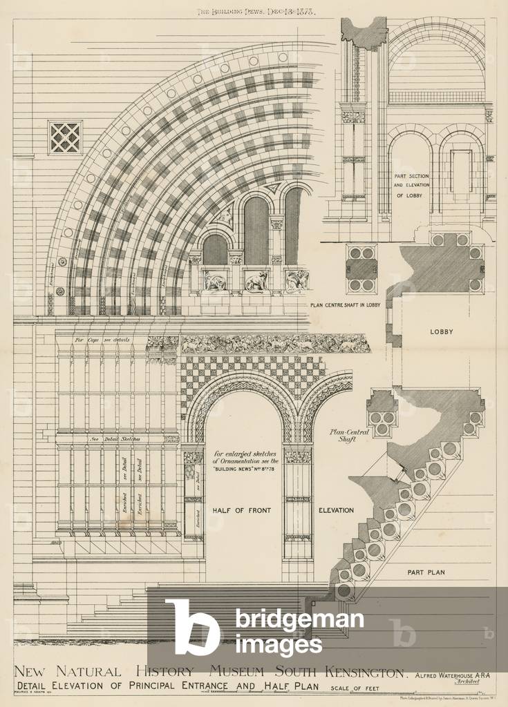 New Natural History Museum, South Kensington, London (engraving)
