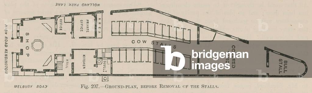 Ground plan of Holland Park Dairy before the removal of the stalls (engraving)