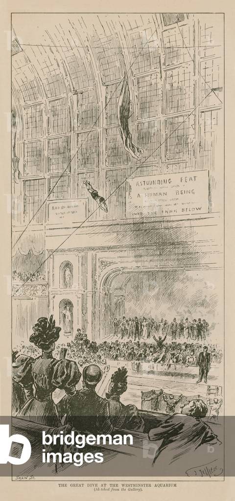 The Great Dive at the Westminster Aquarium (engraving)