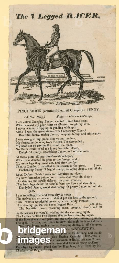 The 7 legged racer (print)