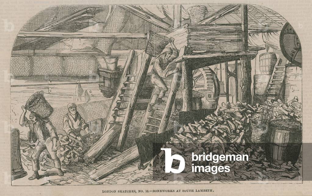 Boneworks at South Lambeth (engraving)
