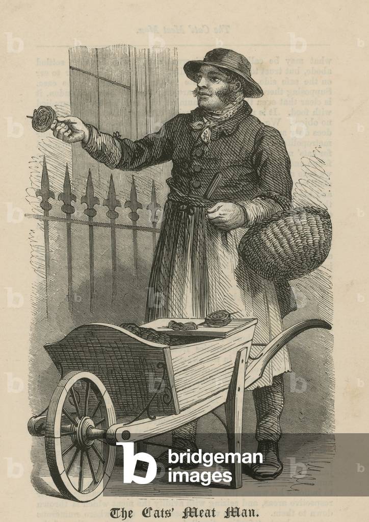 The Cats' Meat Man (engraving)