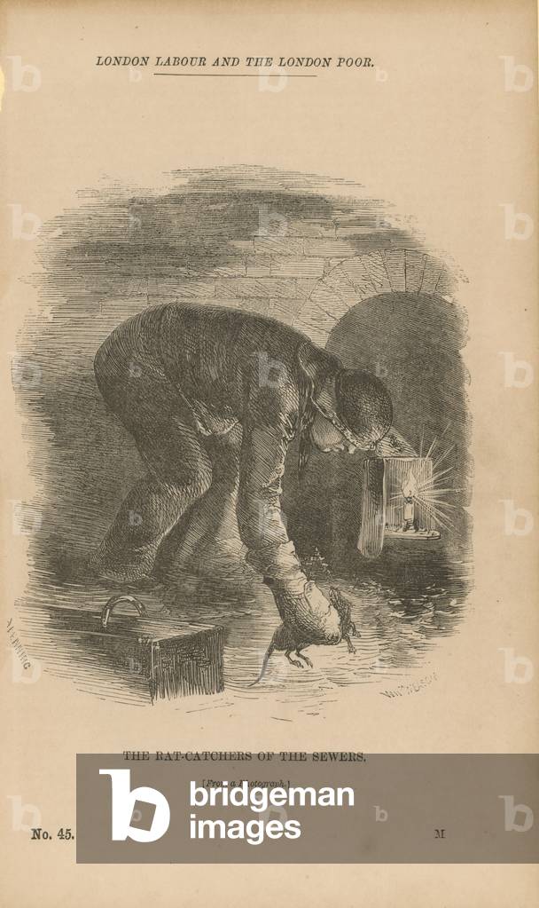 The Rat-catchers of the Sewers (engraving)