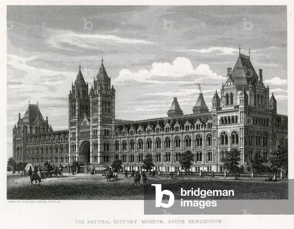 The Natural History Museum, 1881 (engraving)
