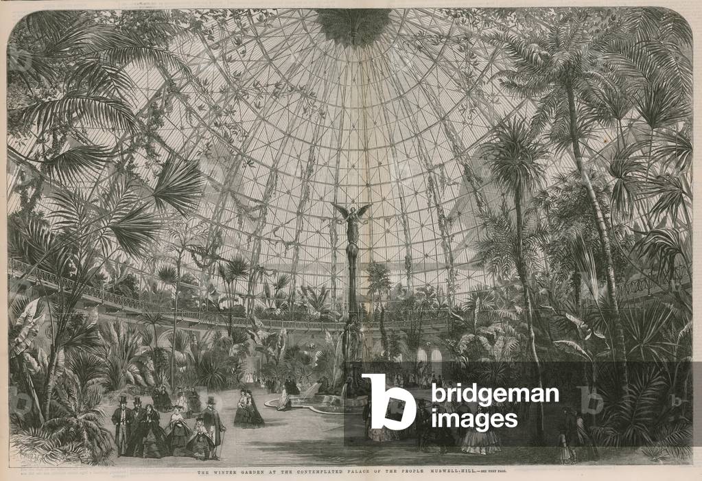 The winter garden at the contemplated palace of the people (engraving)