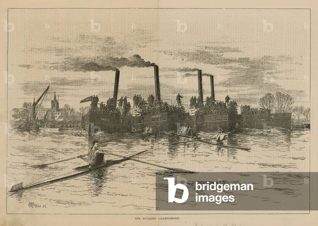 The sculling championship (engraving)