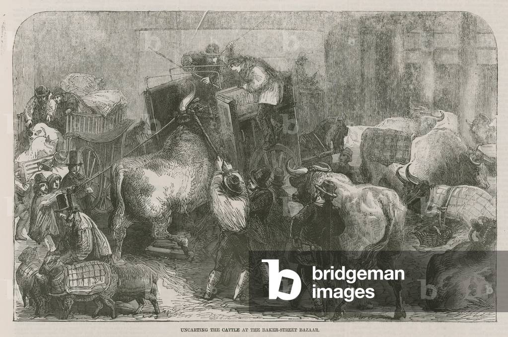 Uncarting the cattle at the Baker Street Bazaar (engraving)