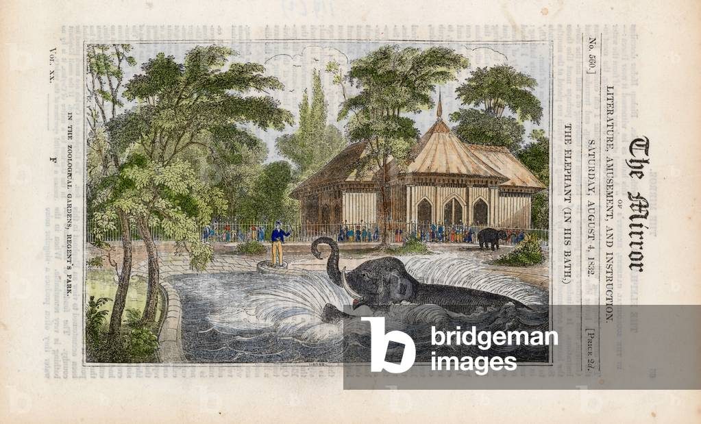 The elephant in his bath at the zoo in Regent's Park (coloured engraving)