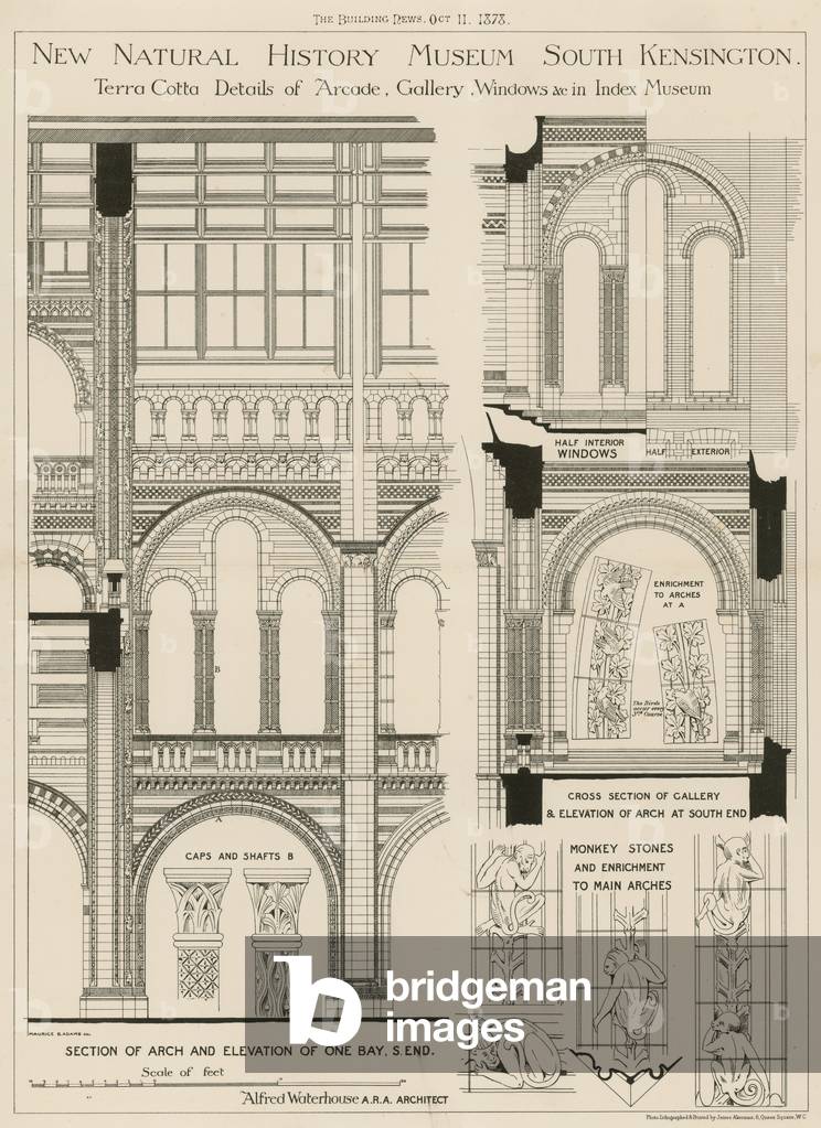 New Natural History Museum, South Kensington, London (engraving)