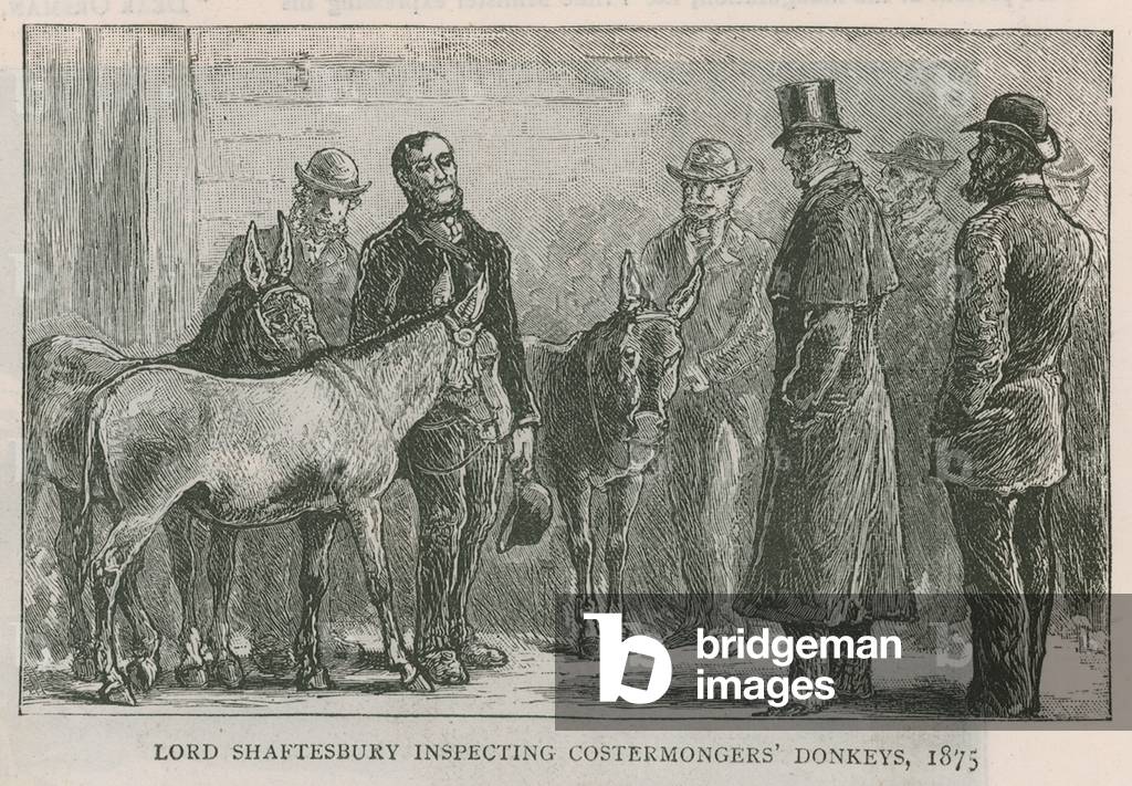 Lord Shaftesbury inspecting costermongers' donkeys (engraving)